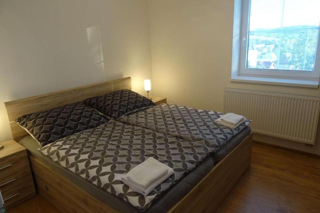 Apartman Boruvka Česká Kamenice エクステリア 写真