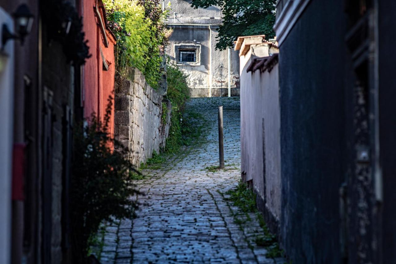 Apartman Boruvka Česká Kamenice エクステリア 写真